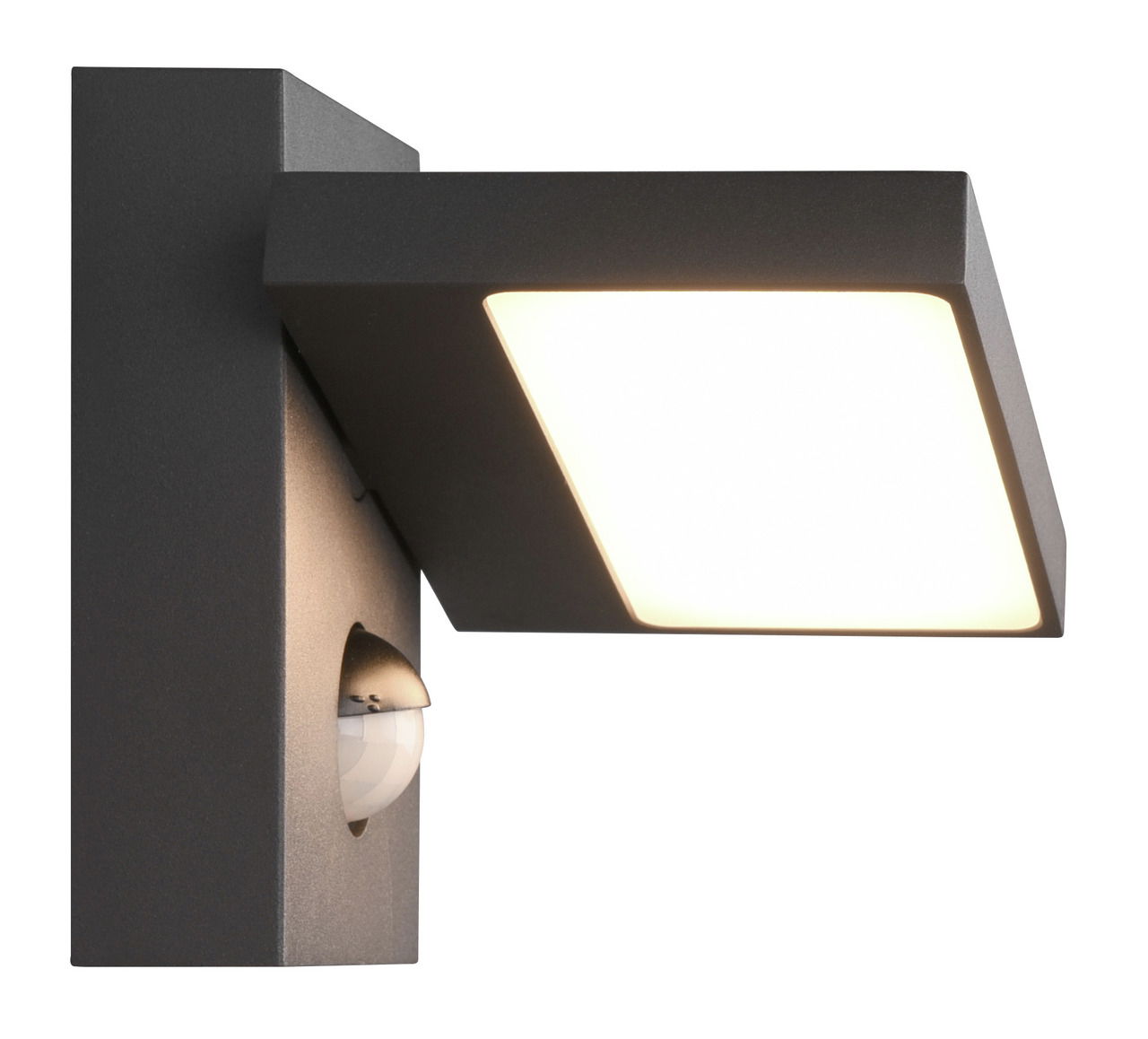 Trio Leuchten LED Außen-Wandleuchte HORTON