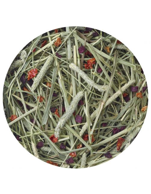 Versele-Laga Nature Timothy Hay - Ruwvoer - Naturel 1 kg
