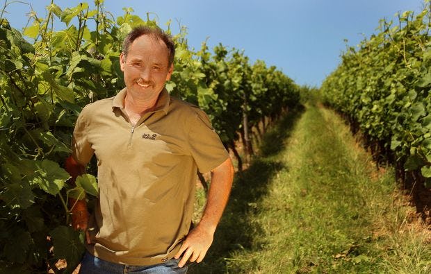 Weinbergsrundfahrt im Holder in Guldental als Geschenkidee