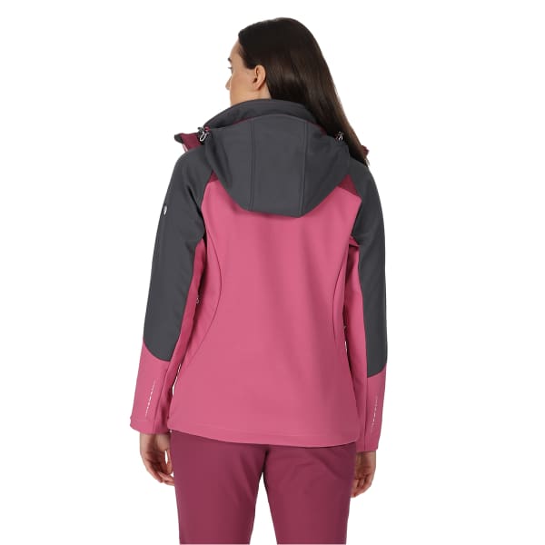 Softshell randonnée REGATTA W DESOTO VIII SLGRY/AMARHZ