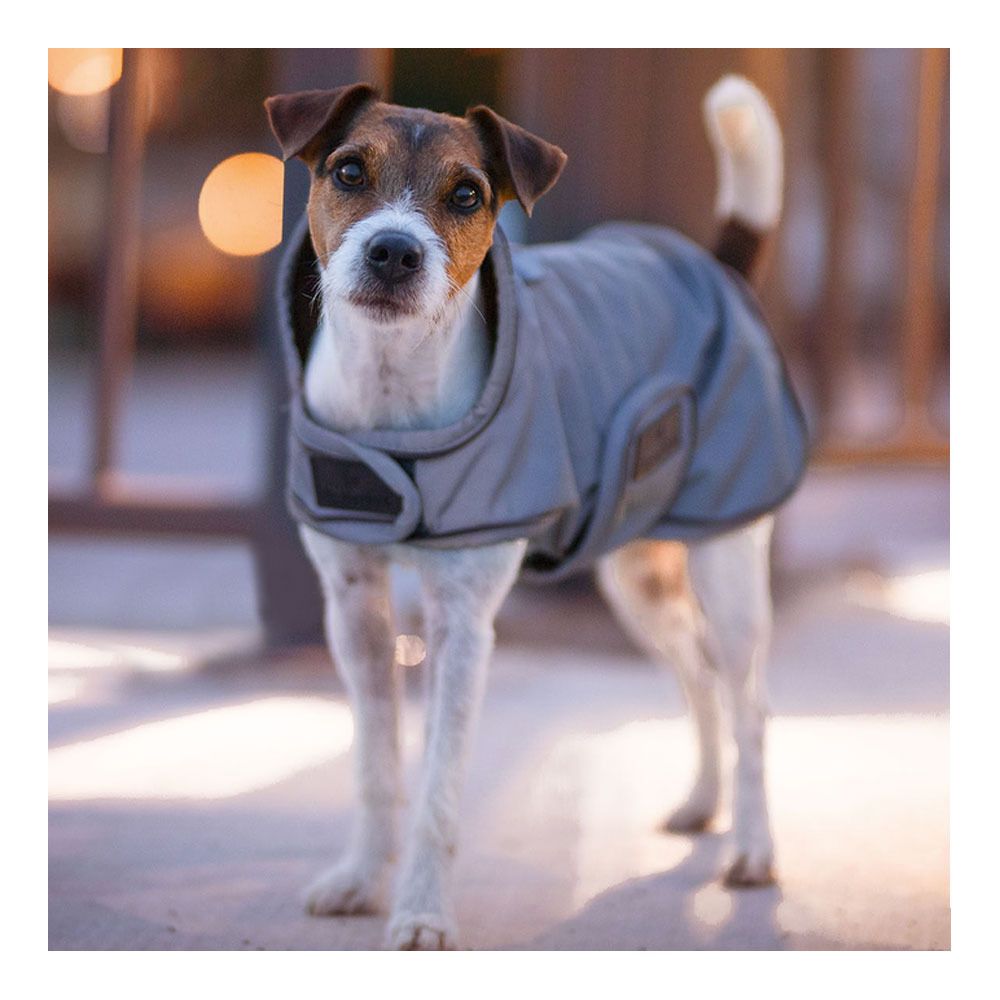 Kentucky REFLECTIVE & WATER REPELLENT XL - Couverture pour chien repellent silver