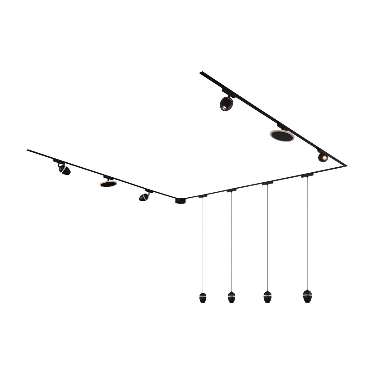 Railsysteem met 10 lampen zwart 1-fase - Magnetic Eggy Puk