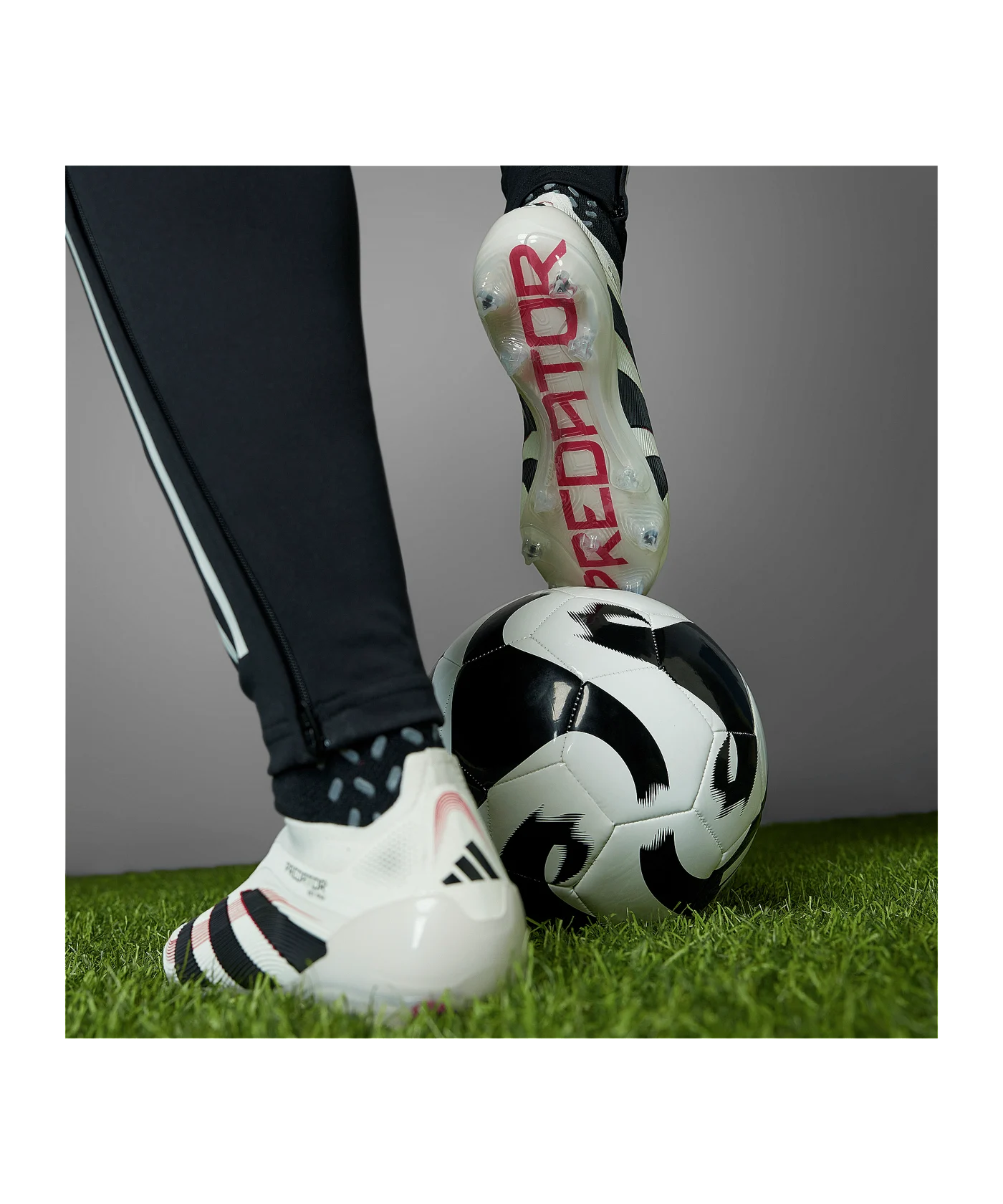 adidas Predator Elite LL FG Champagne Weiss Schwarz