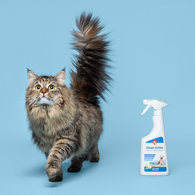 Sectolin Clean Urine Sprayflacon Hond Kat 500 ml | 12348