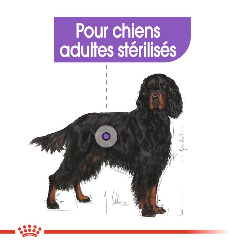 Royal Canin Maxi Sterilised à Prix Discount | bitiba.fr