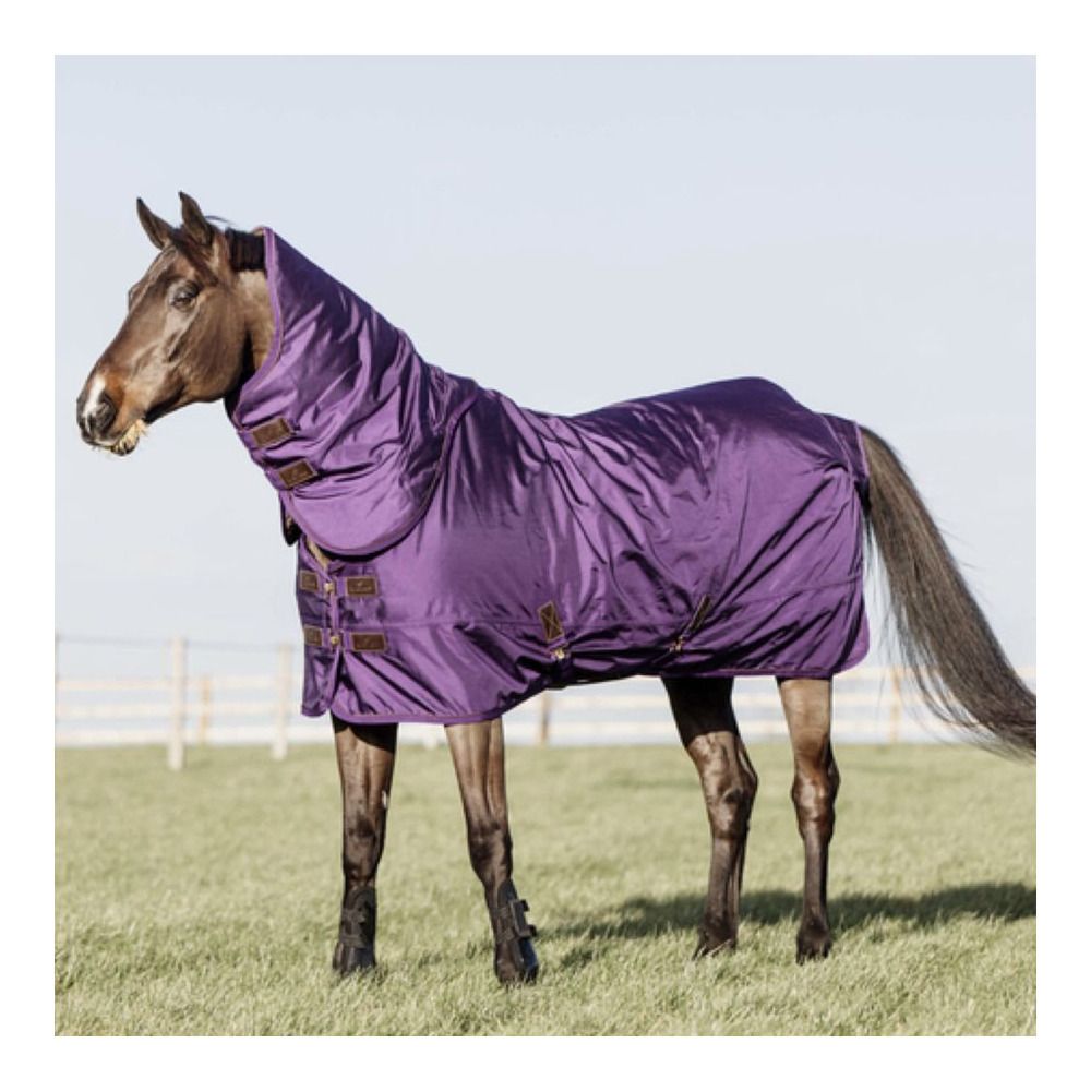 Kentucky ALL WEATHER 1680D 150G - Couvre-reins royal purple