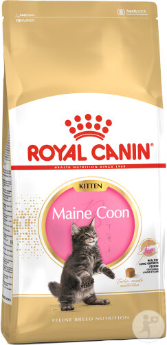 Royal Canin Feline Breed Nutrition Kitten Maine Coon 10kg