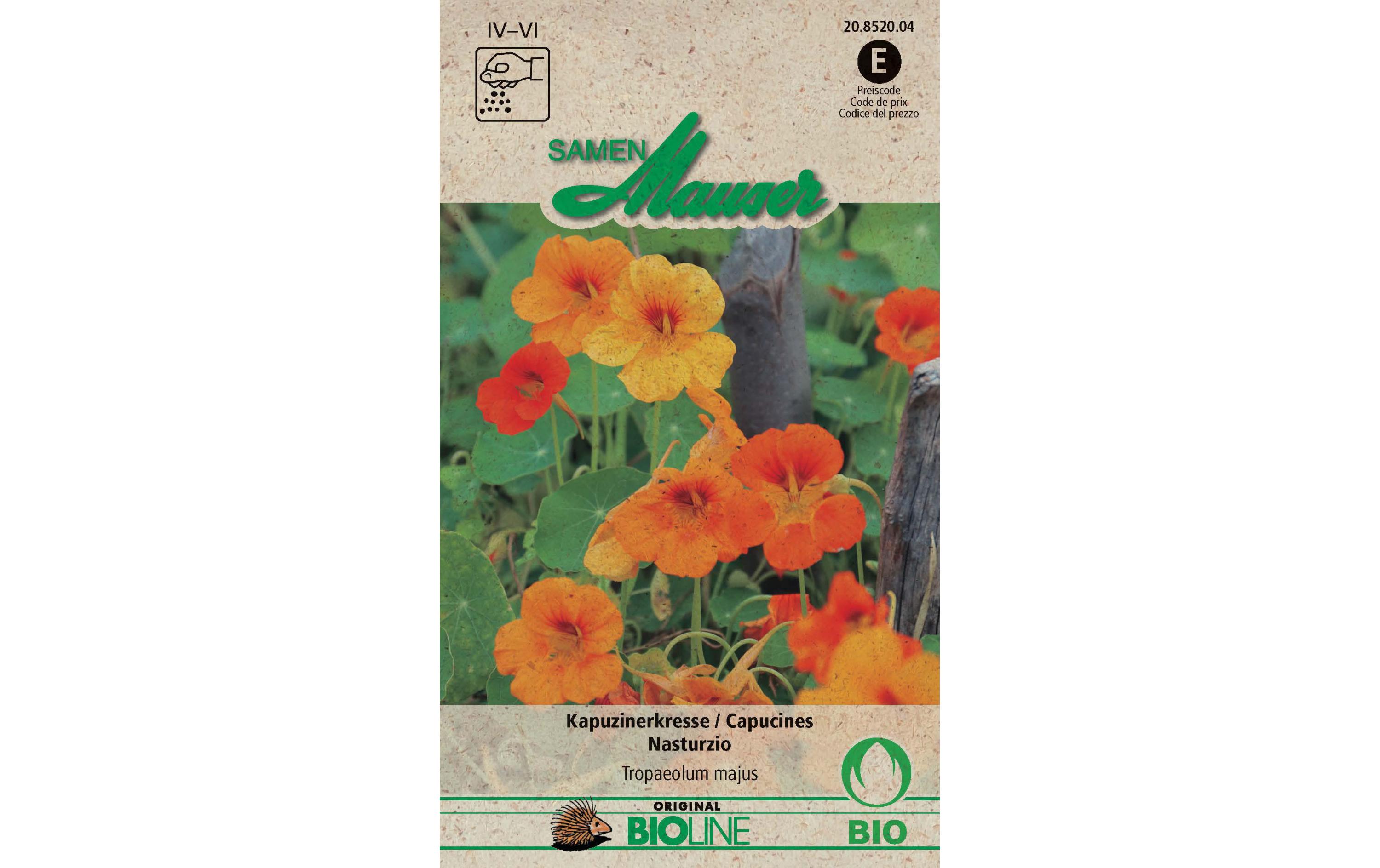 Saatgut KapuzinerkresseBlumensamen