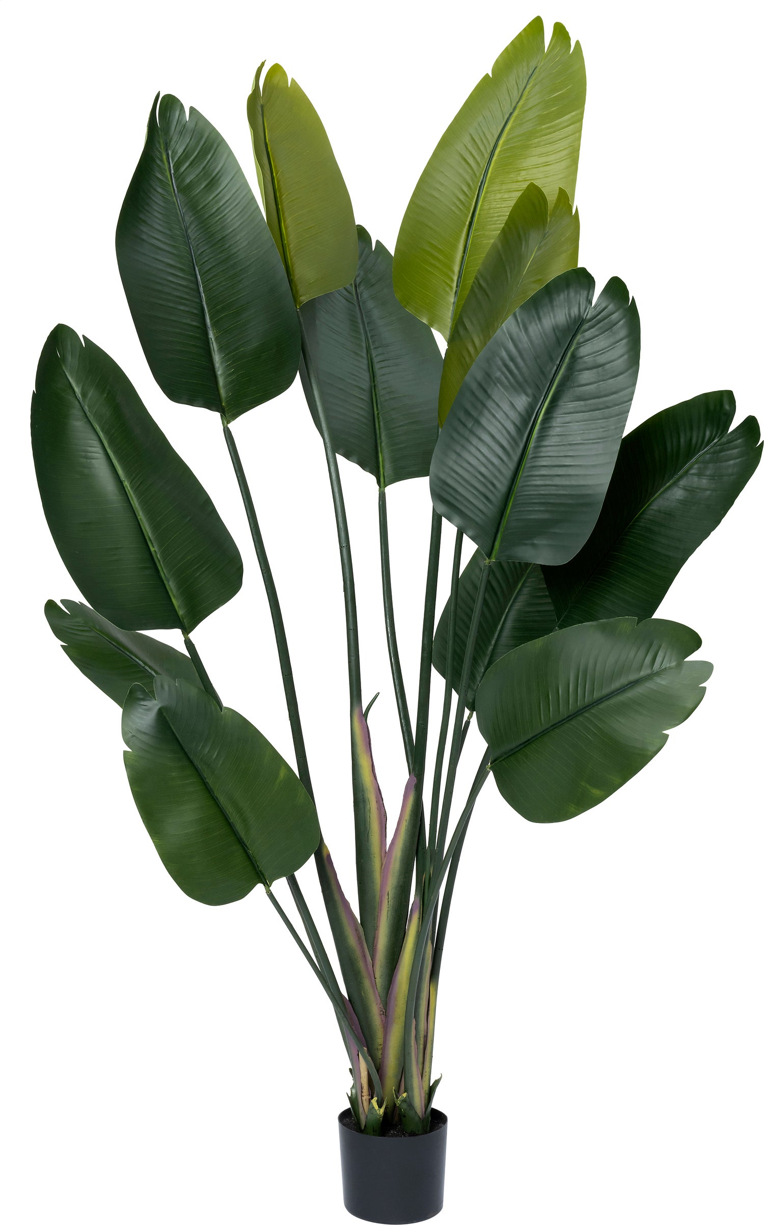Intratuin kunstplant Strelitzia groen D 80 H 180 cm