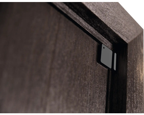 Shelly Blu Door - Raam Bluetooth gestuurde deur-/raamsensor, zwart