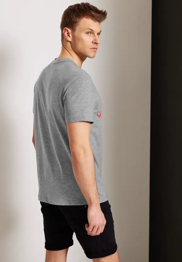 T-Shirt mit Frontprint - silver grey melange
