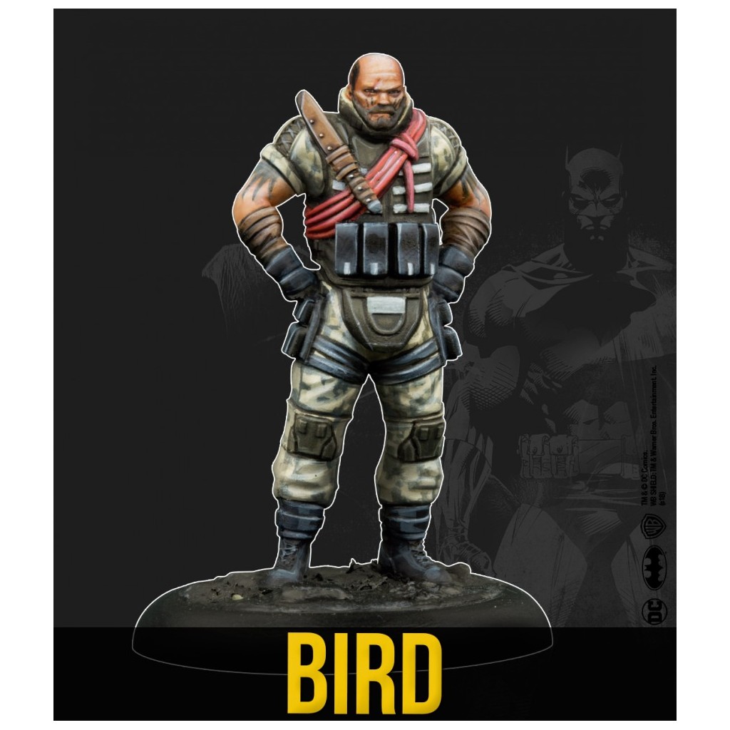 Batman - Bird & Mercs