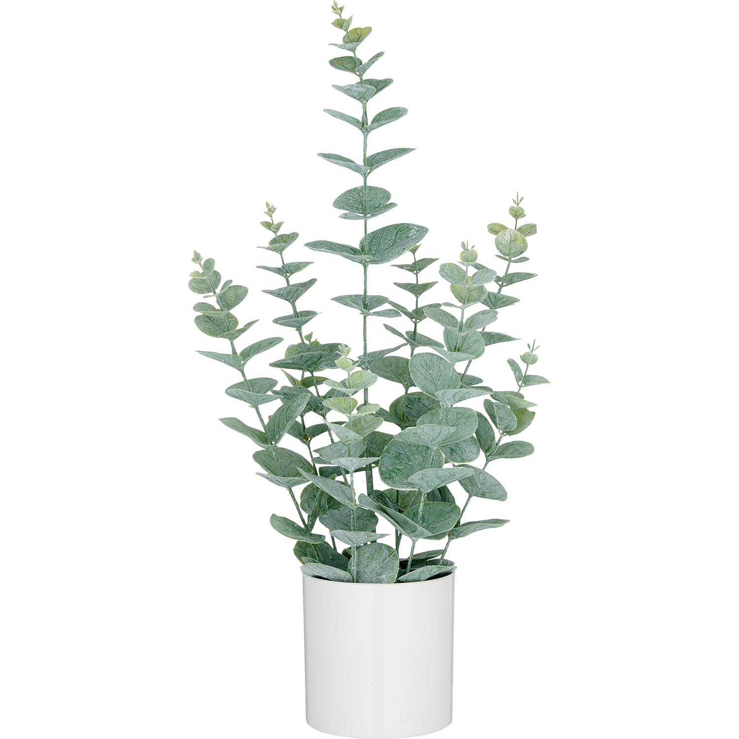 Kunstpflanze Eukalyptus