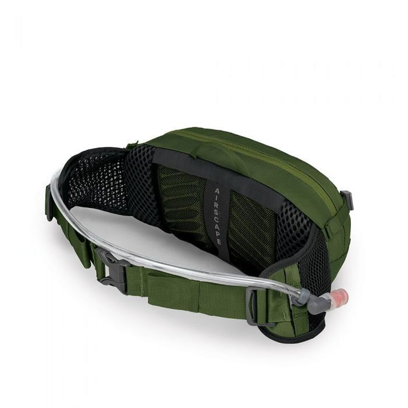 Seral 4 - Ceinture hydratation