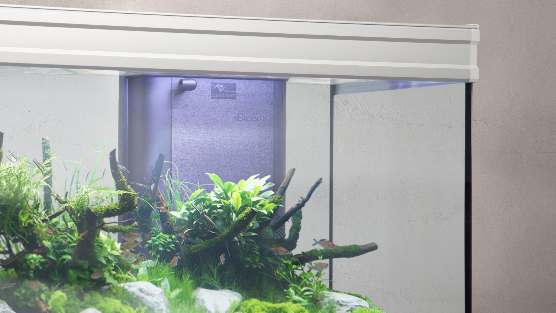 Aquatlantis Binnenfilter Systeem BioBox Nr. 3