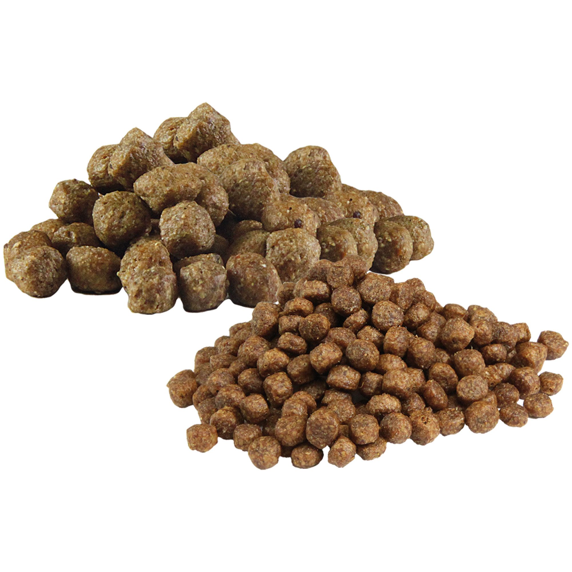 Schecker Hundefutter - Testpaket für Welpen - Trocken- &  Nassfutter