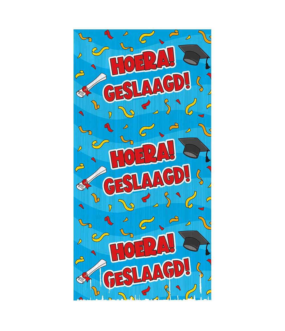 Geslaagd Deurgordijn 2m