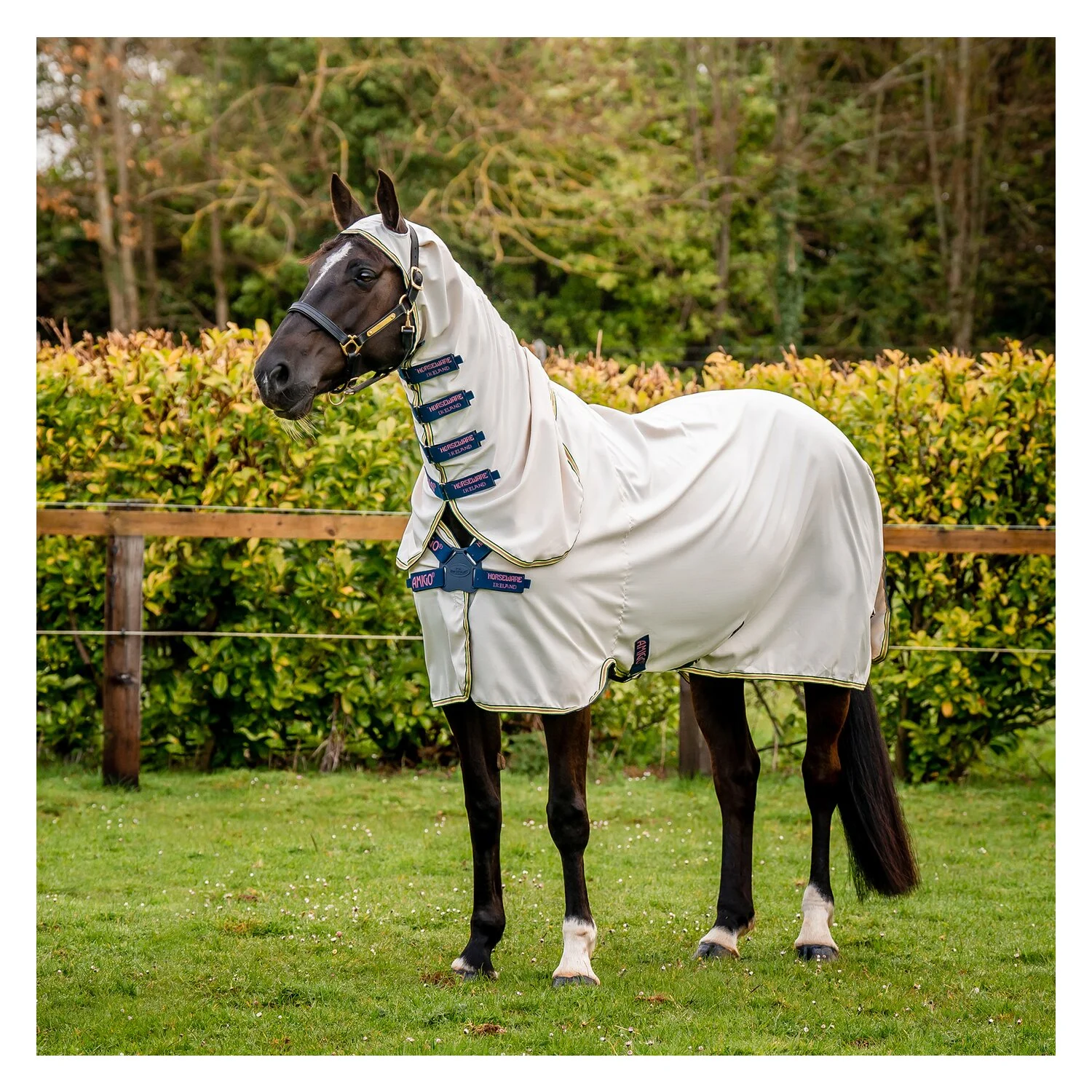 HORSEWARE Fliegendecke AMIGO Ripstop Hoody  - chalk/navy/rose