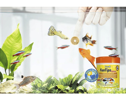 Tetra Tips 75 voedingstabletten