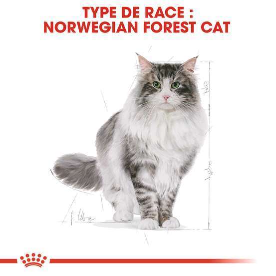 Croquettes chat norvegien Adulte à partir de 12 mois 2kg