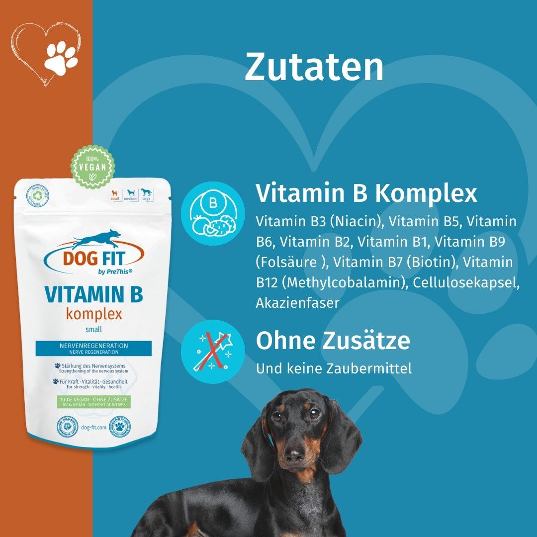 DOG FIT by PreThis® VITAMIN B für Hunde » Nerven, Inkontinenz, Bandscheibenvorfall (small)