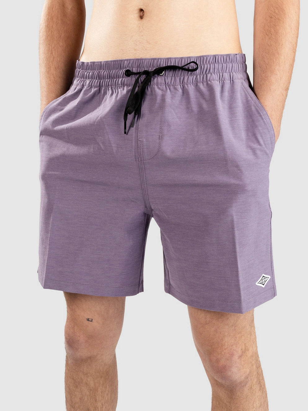 Billabong Every Other Day Lb Boardshorts lavender