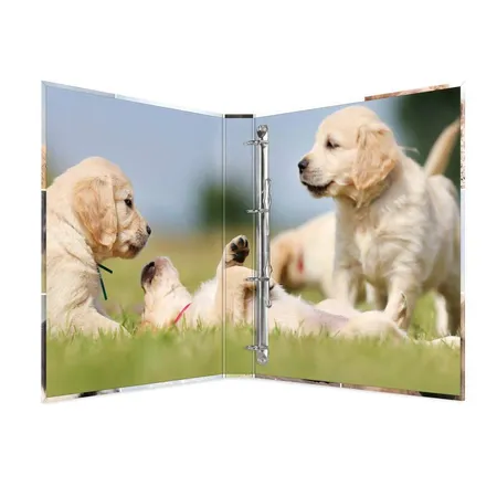 HERMA Motiv-Ringbuch 