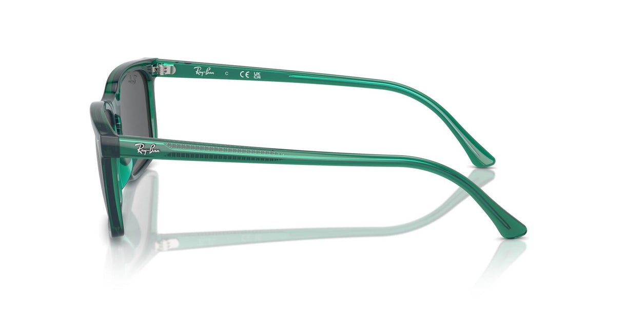 Ray-Ban<br>RB4435