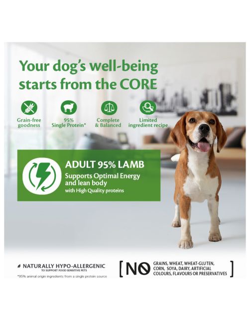 Wellness Core Grain Free 95 400 g - Hondenvoer