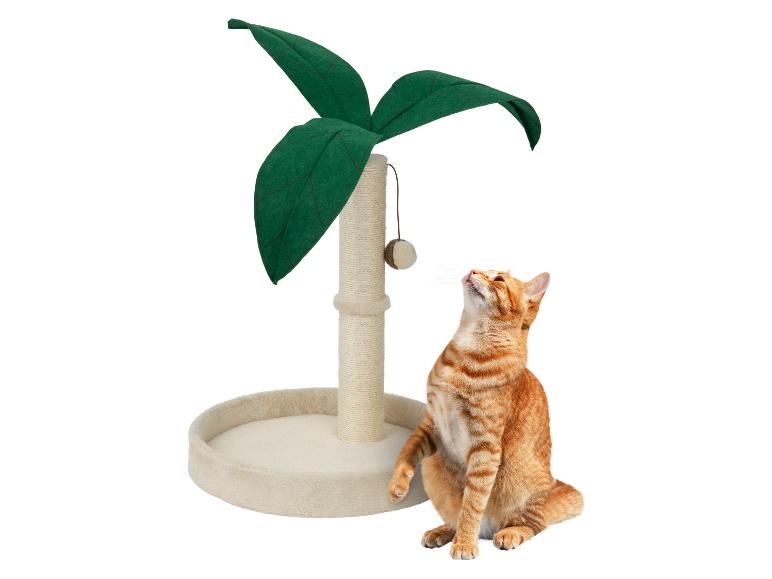 Krabpaal, hangmat of tipitent voor katten