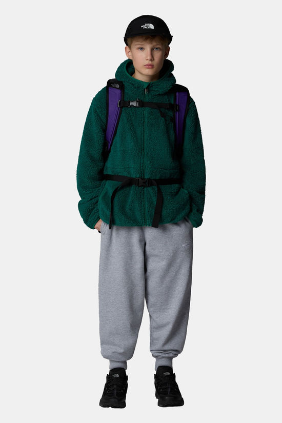The North Face The North Face Teen Campshire F/Z Hoodie Fleecevest Junior