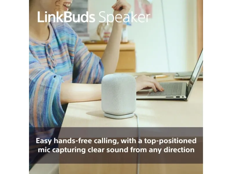 Sony LinkBuds SRS-LS1 - Højttaler - til transportabel brug - trådløs - Bluetooth - App-kontrolleret - 2-vejs - lysegrå