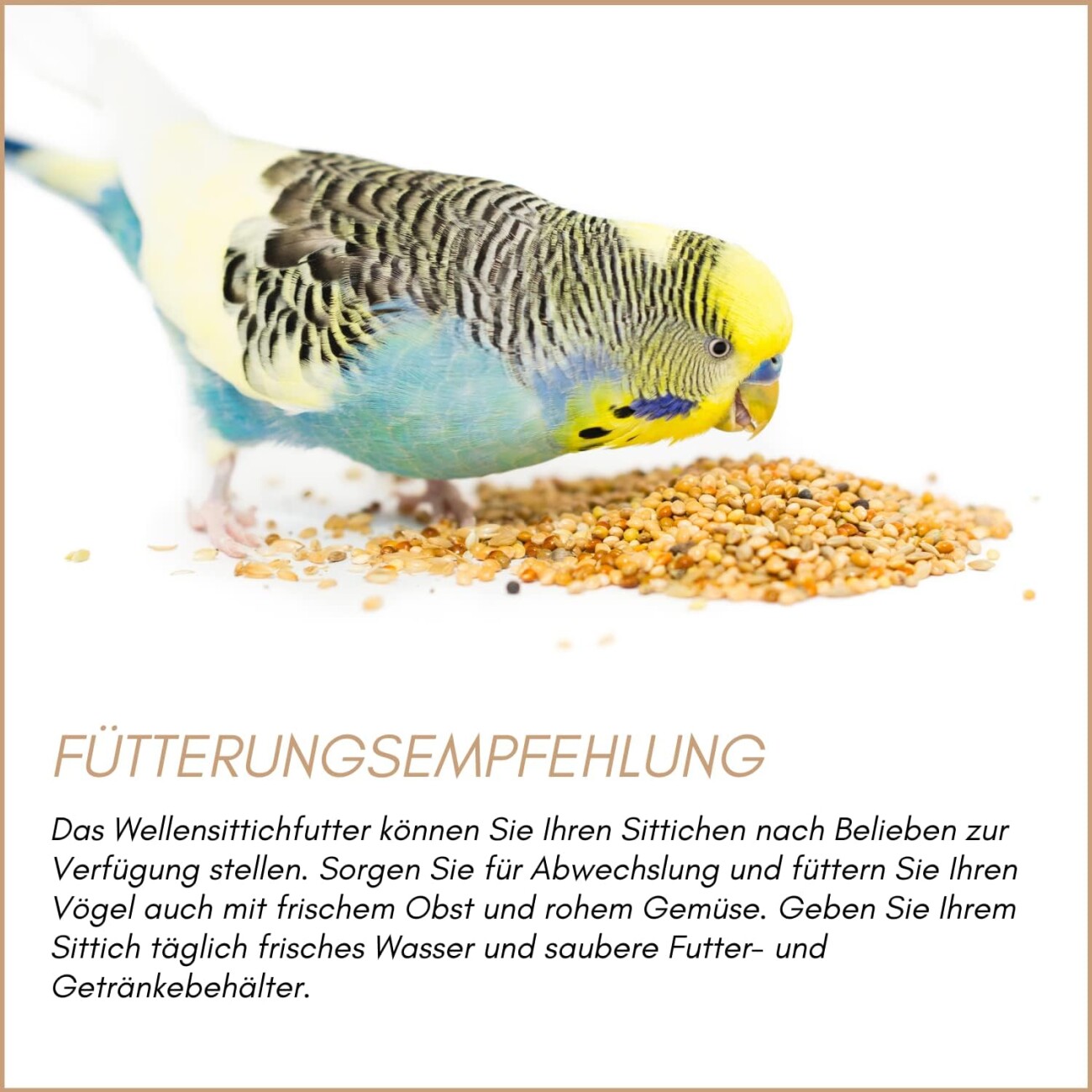 Supravit Wellensittichfutter Zuchtmischung 2,5 kg
