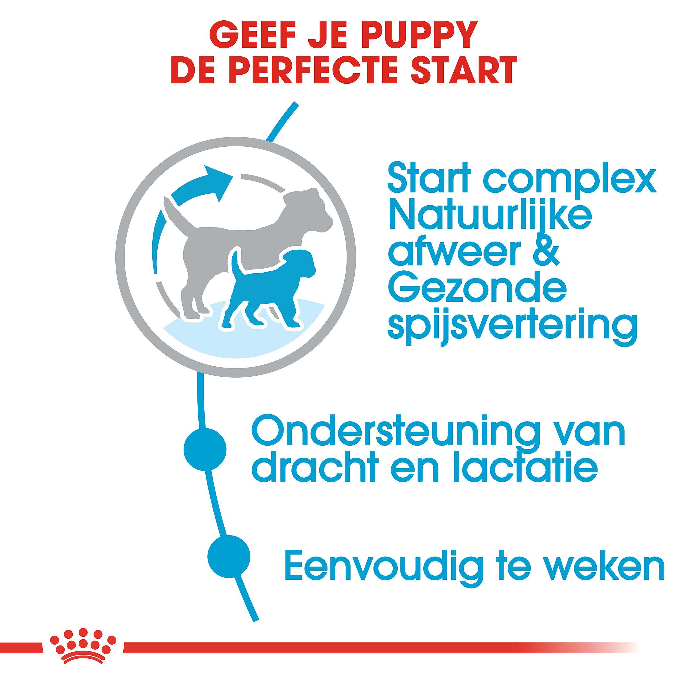 ROYAL CANIN® Small Dog Starter