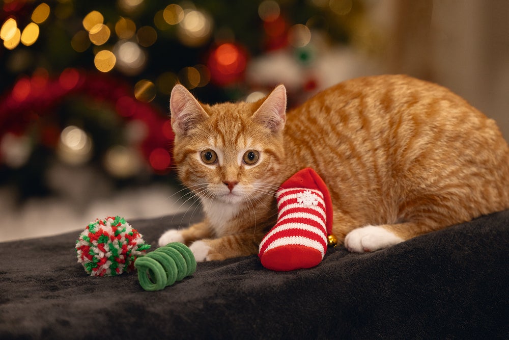 Beeztees kattenspeeltje kerstfun divers 3 stuks