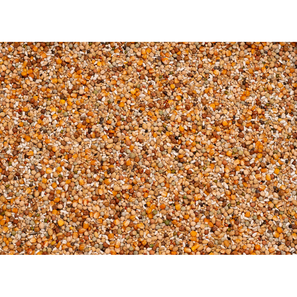 Beyers Enzymix 7/43 MS Opbouw Extra20 kg
