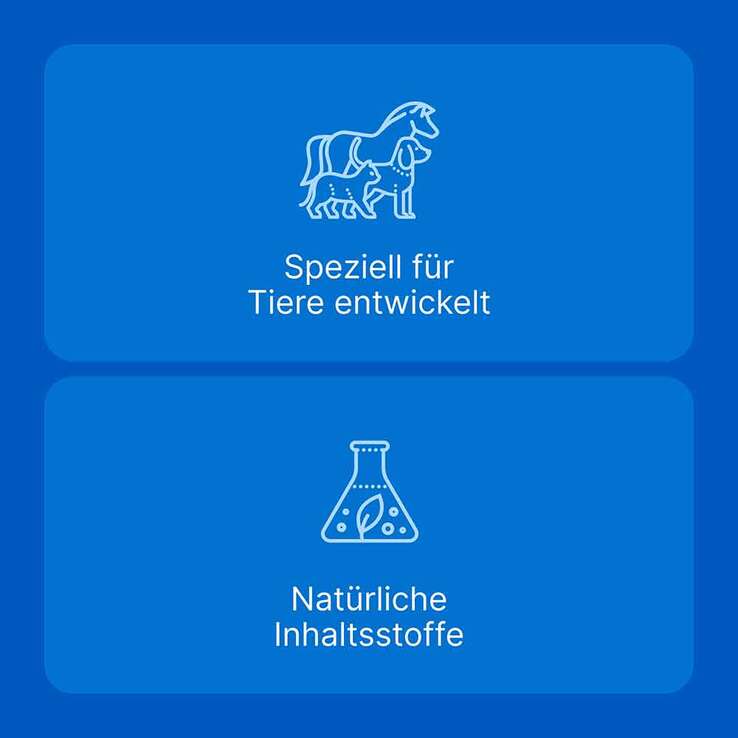 Traumeel LT Ampullen vet. (für Tiere), 50X5 ml