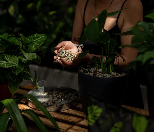 Floragard Green Jungle Mix