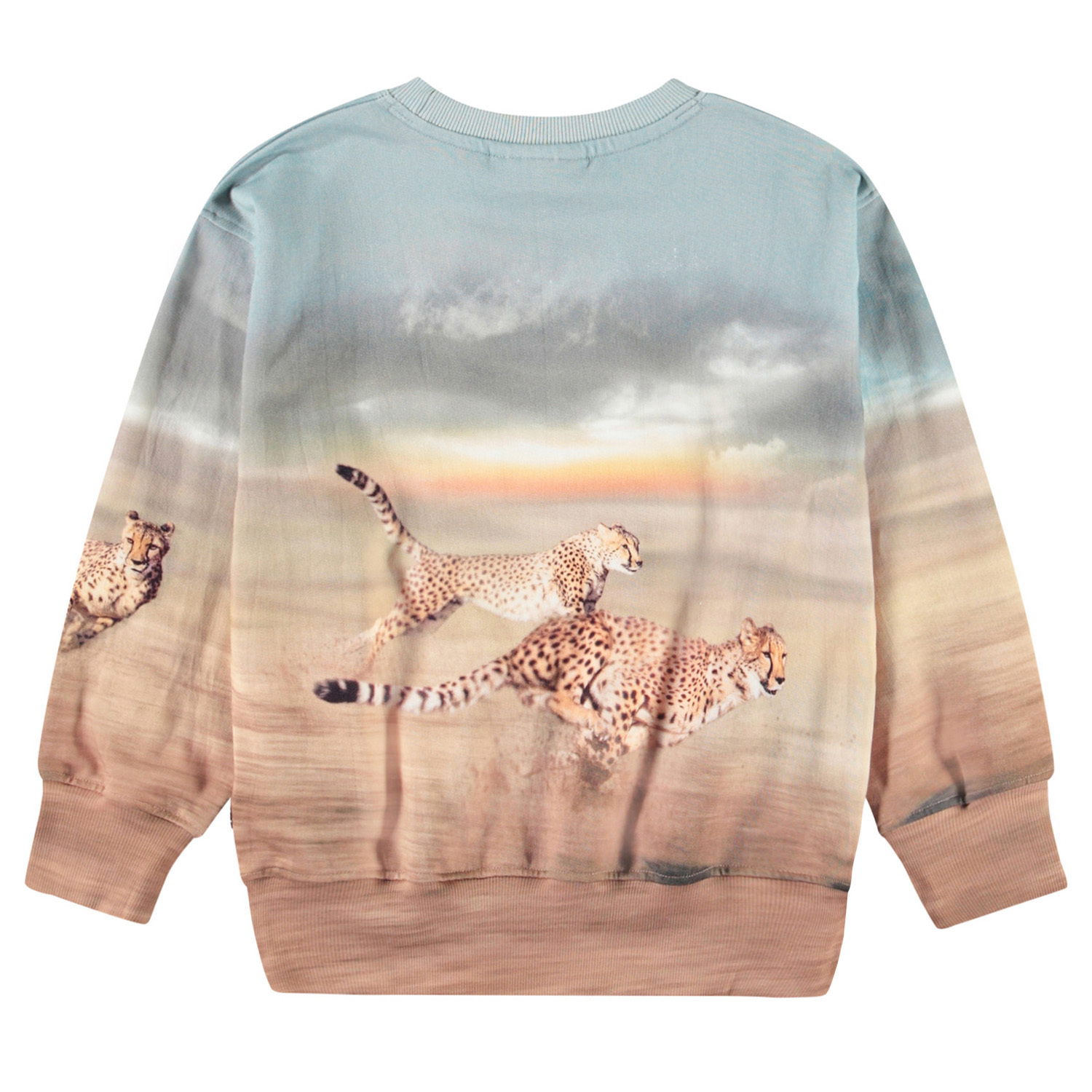 Mattis - Running Cheetahs