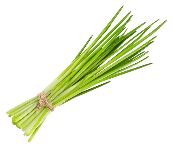 Schnittlauch