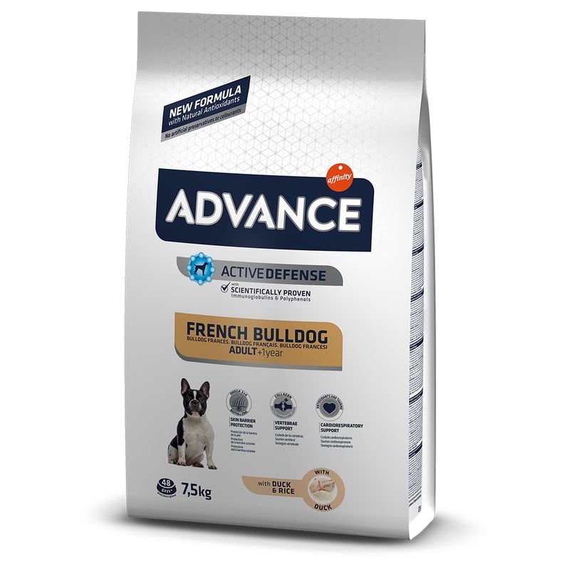Advance French Bulldog canard