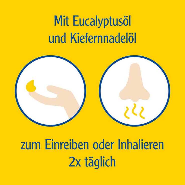 Pinimenthol® Erkältungsbalsam mild Eucalyptusöl Kiefernnadelöl, 20 g