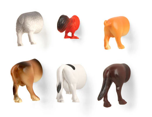 Farm Animal Butt Magnets