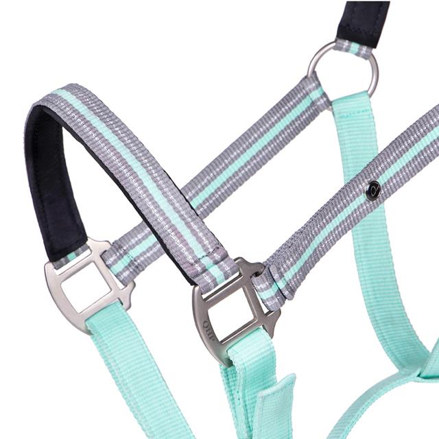 Halster QHP Flore Turquoise