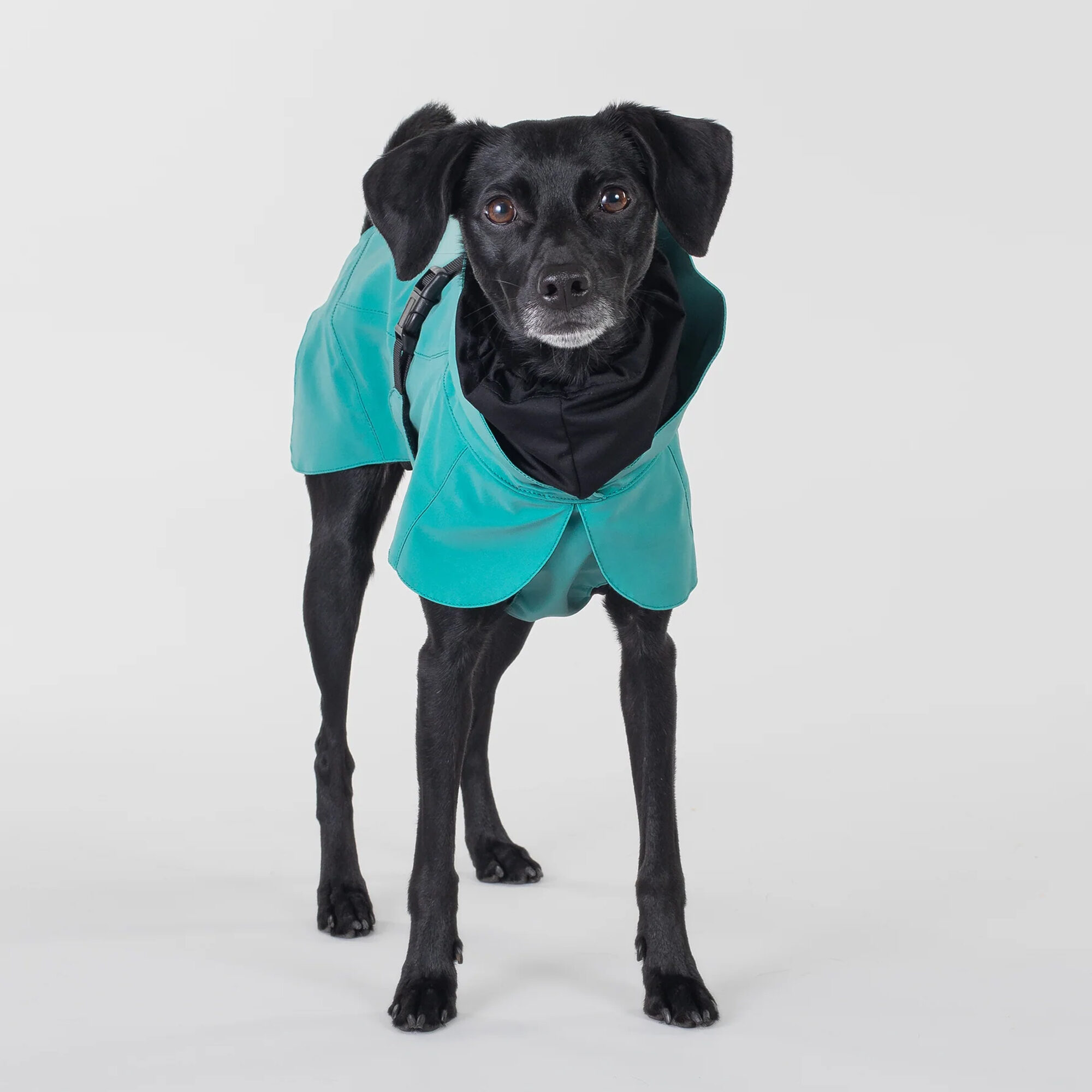 PAIKKA Visibility Raincoat Emerald