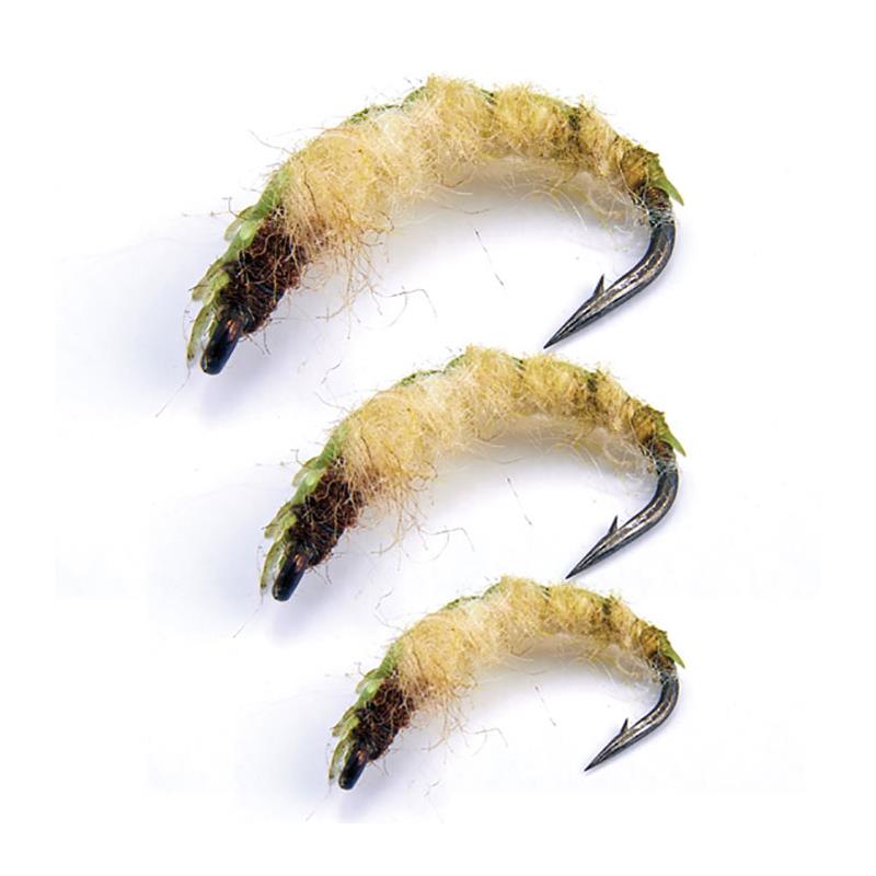 Mouche Sempe Nymphe Larve Caddis Verte - Par 3