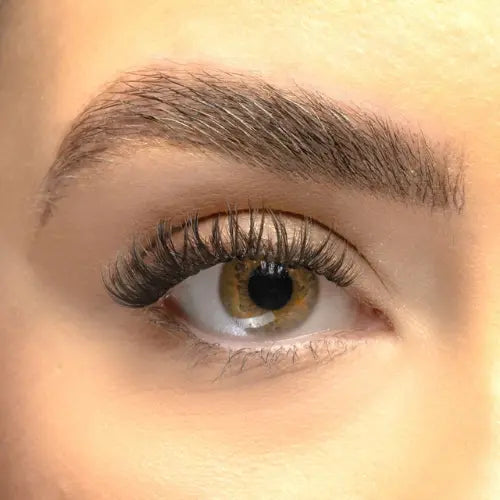 Pointed Hybrid Pre-Mapped DIY Lashes
