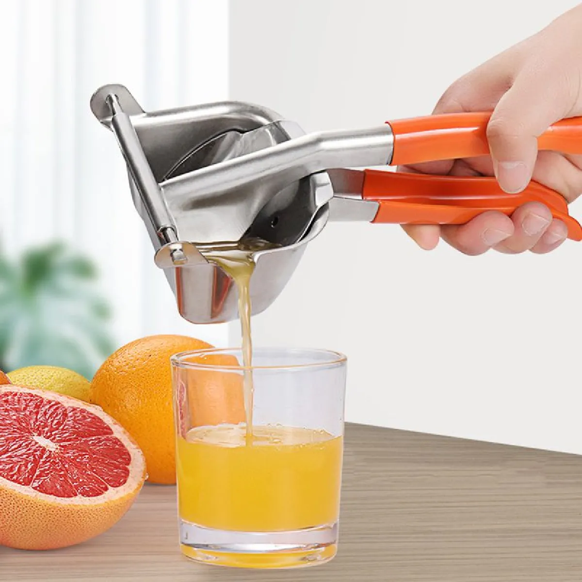 Universal Presse-jus Manuel Multi-agrumes