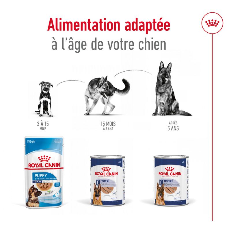 Royal Canin Maxi Adult Mousse