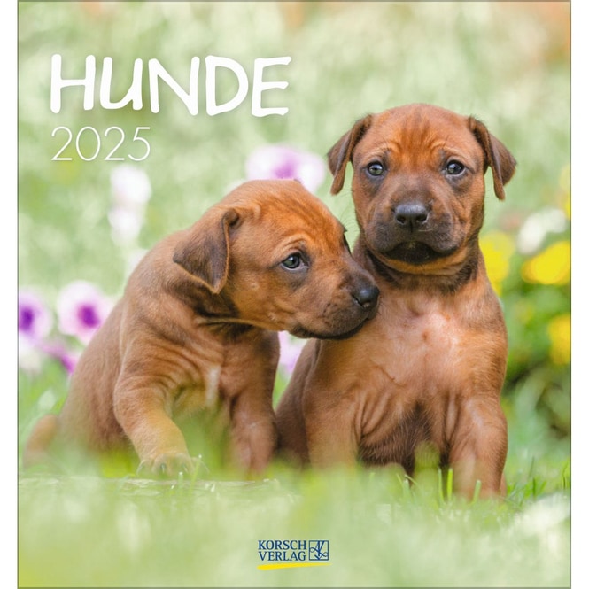Postkartenkalender - 2025 - Hunde